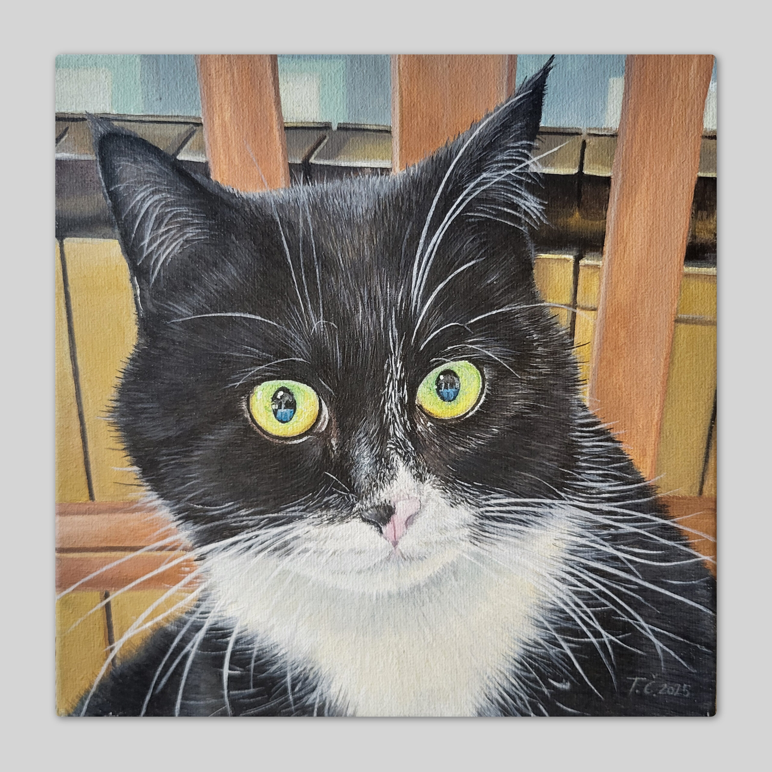 Portret črno-belega mucka z zeleno-rumenimi očmi, akril na platnu