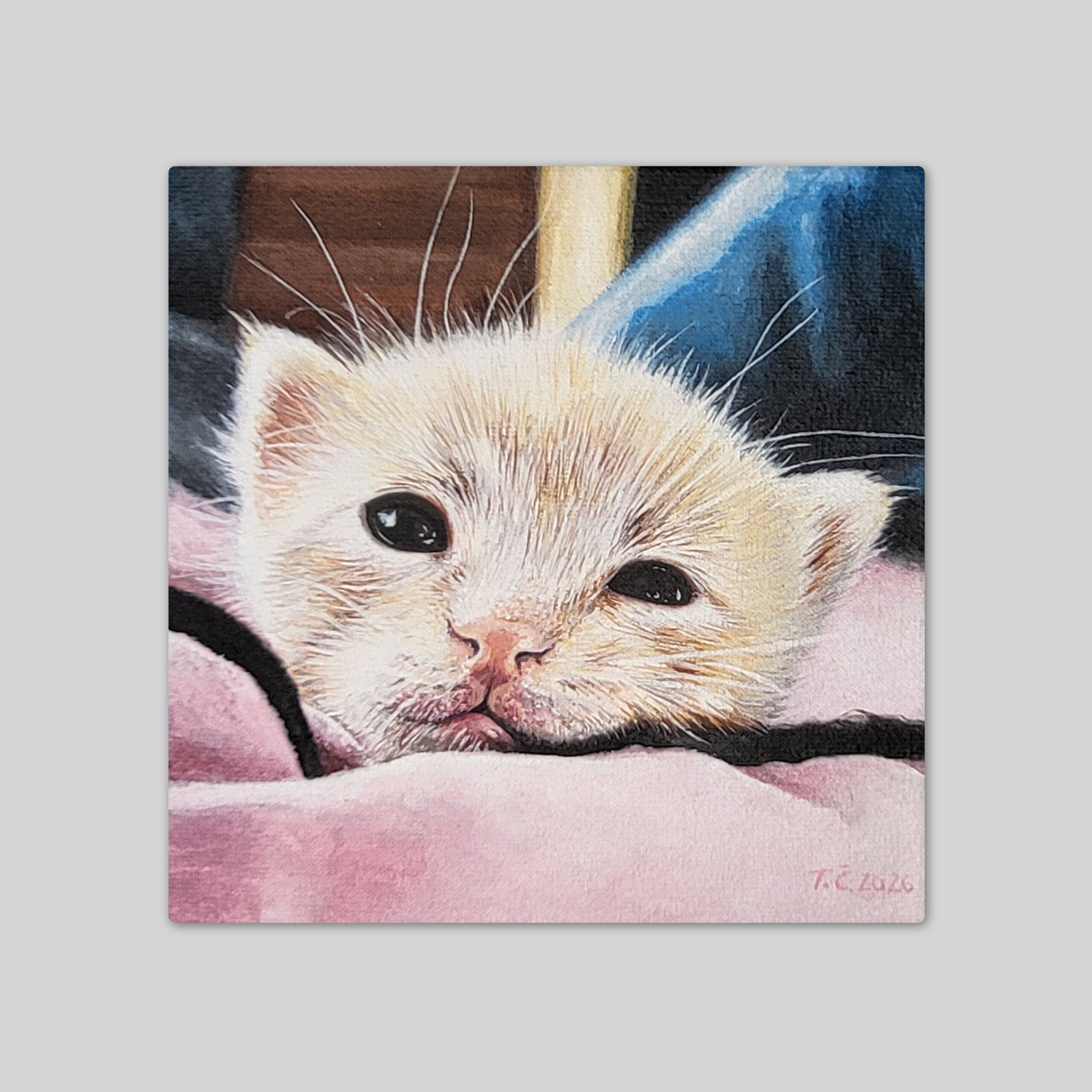 Portret rdečega mačka, akril na platnu