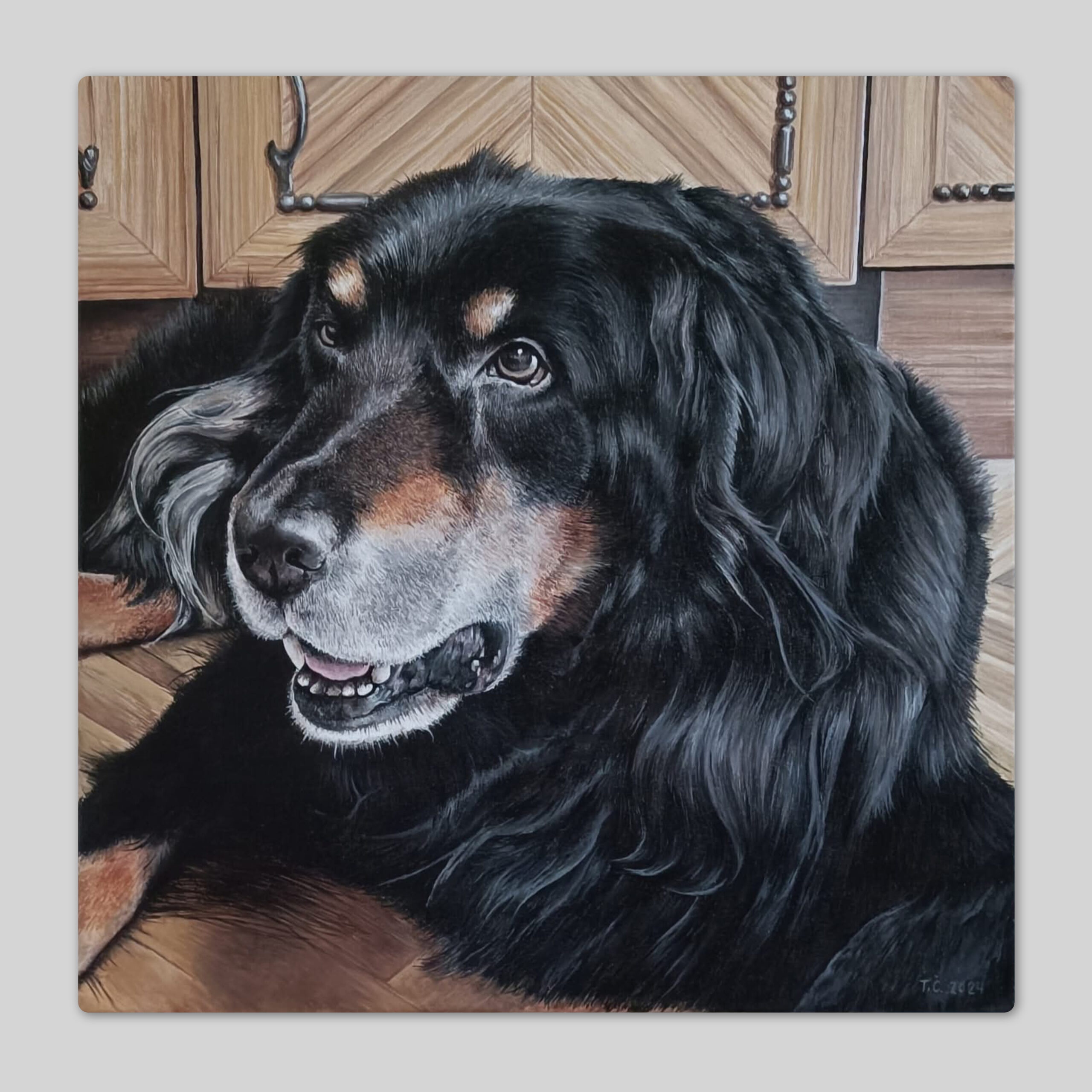 Portret črno-rjavega dolgodlakega psa v kuhinji, akril na platnu