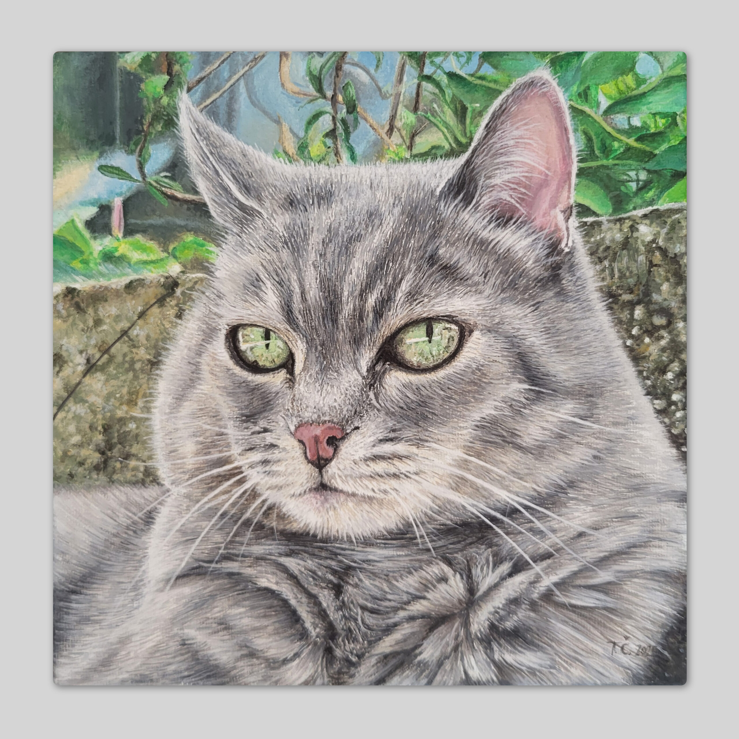 Portret sive tigraste mačke z zelenimi očmi, akril na platnu